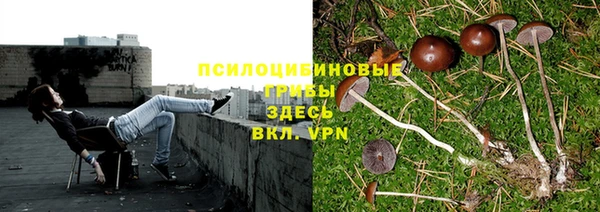 мескалин Беломорск