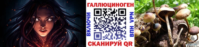 закладка  Котовск  mega онион  Псилоцибиновые грибы прущие грибы 